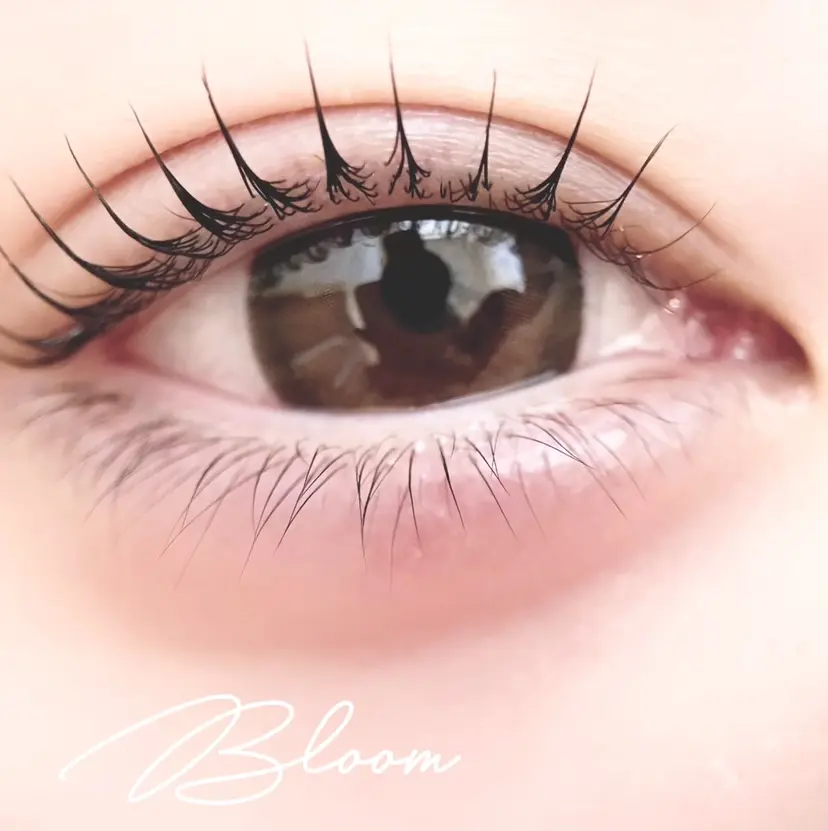 Bloom ブルームの掲載