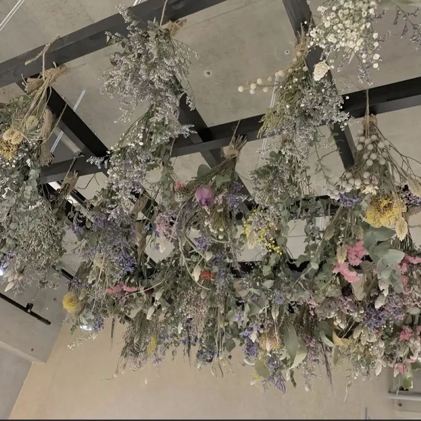 野崎 桃実の掲載