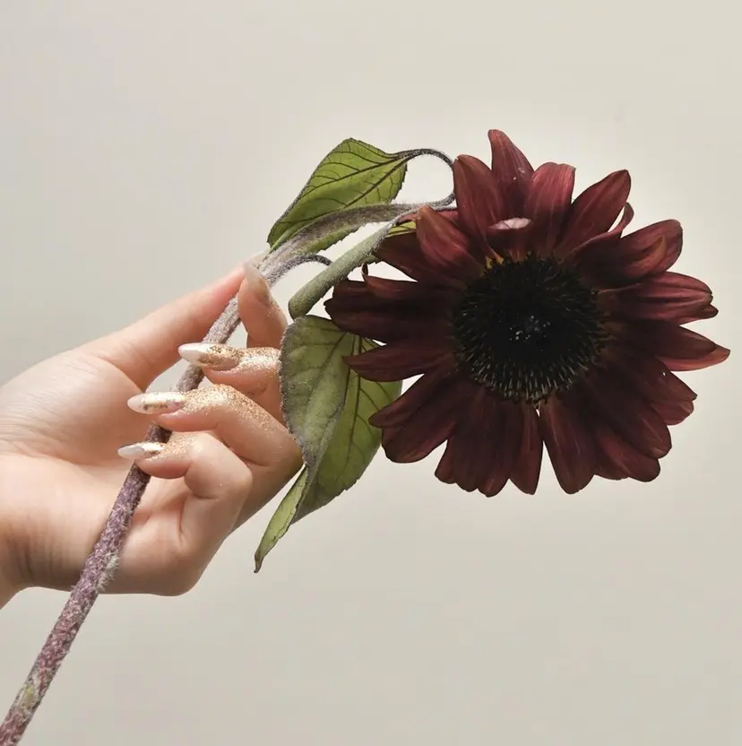 ROUN'　南 鈴沙の掲載