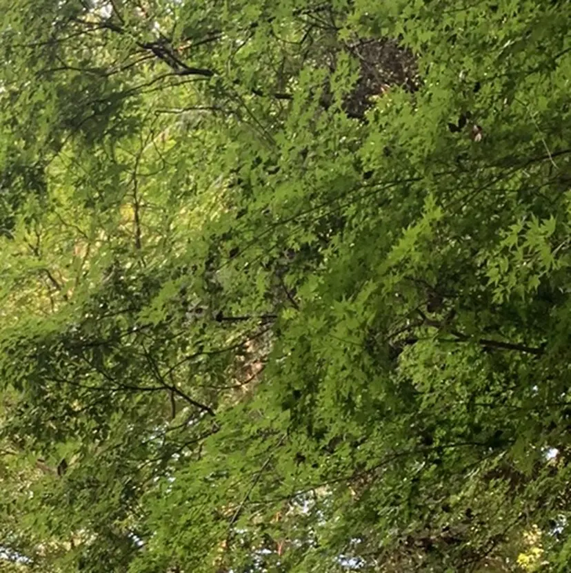 Yuuki Naitouの掲載