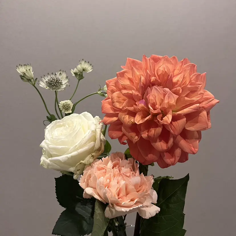 ЯH.nail JURIの掲載