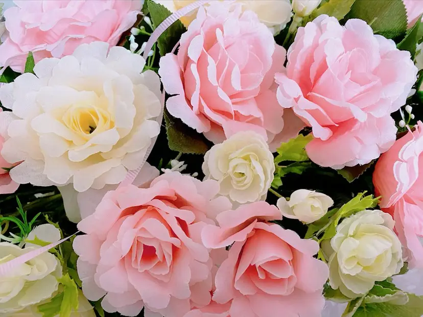 佐津川 江里の掲載