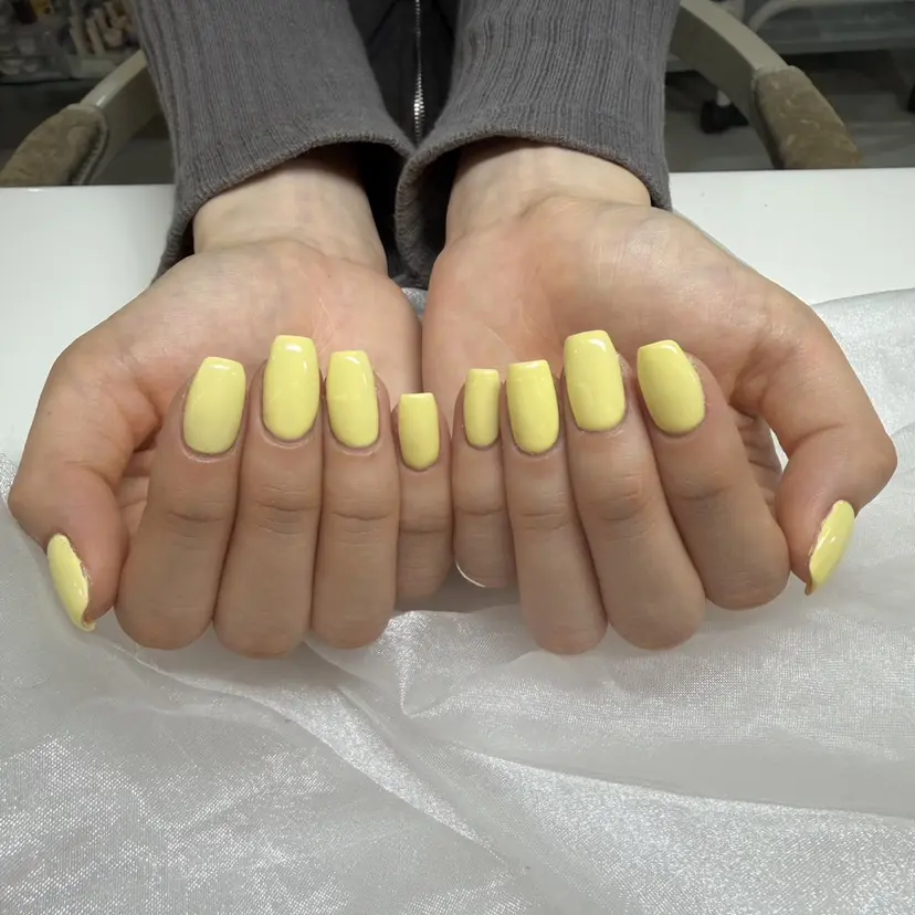 Raviy リコの掲載