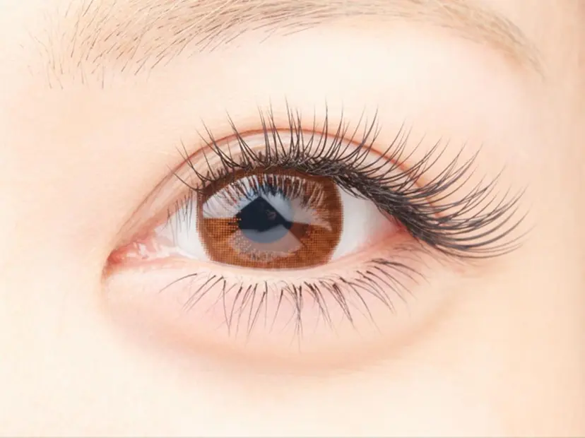 MyALL 研修生の掲載