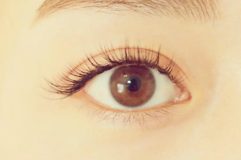 Lupinus 国立店の掲載