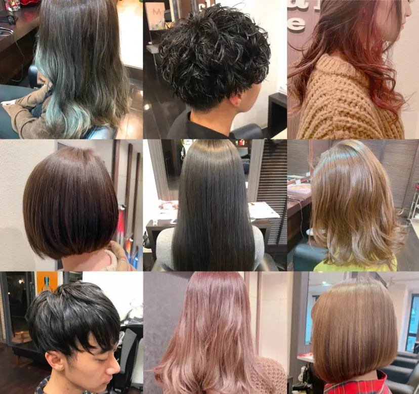 藤本 麻衣の掲載