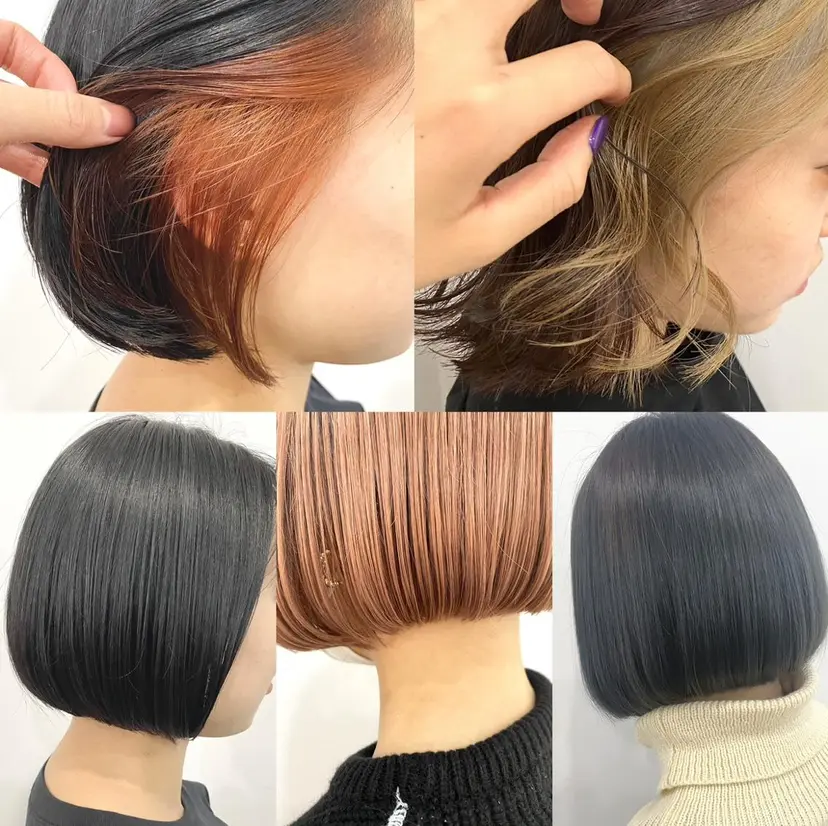 フジ 🐼の掲載