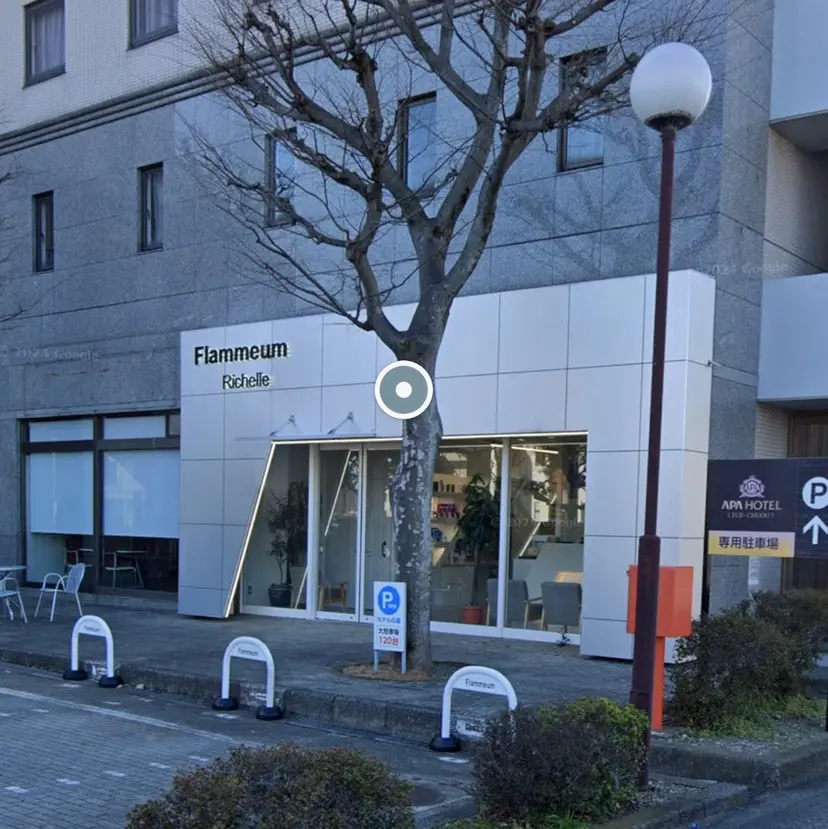 カエデ 🍁の掲載