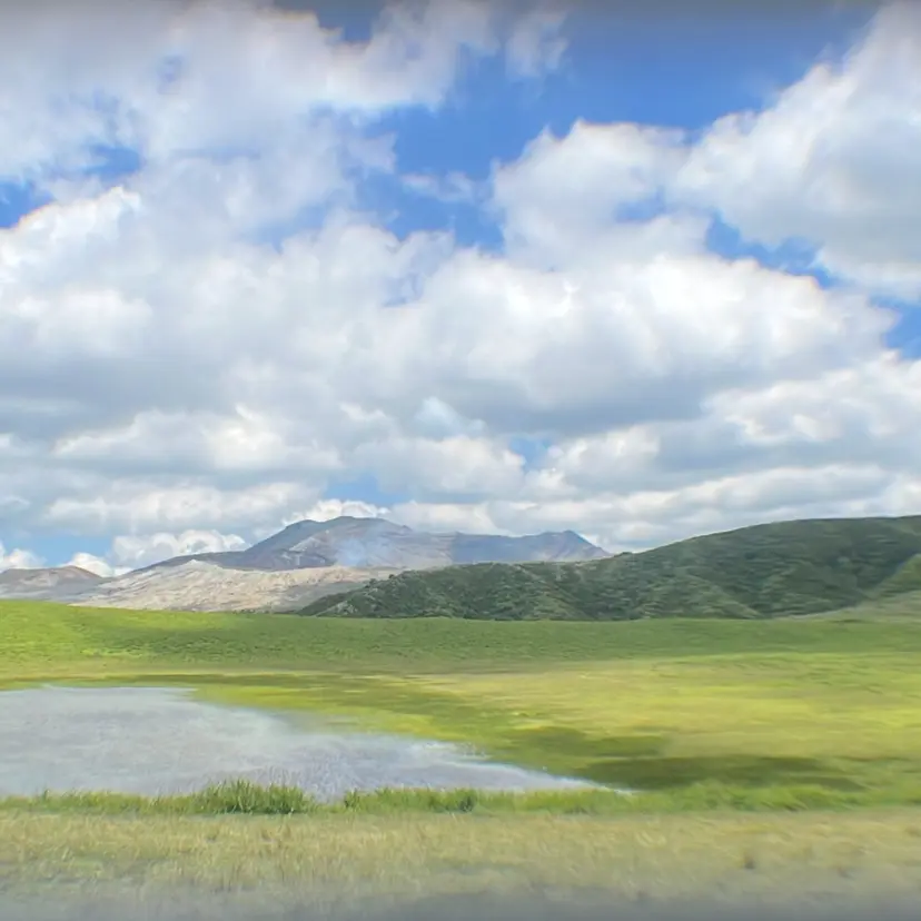 高木 陽菜の掲載