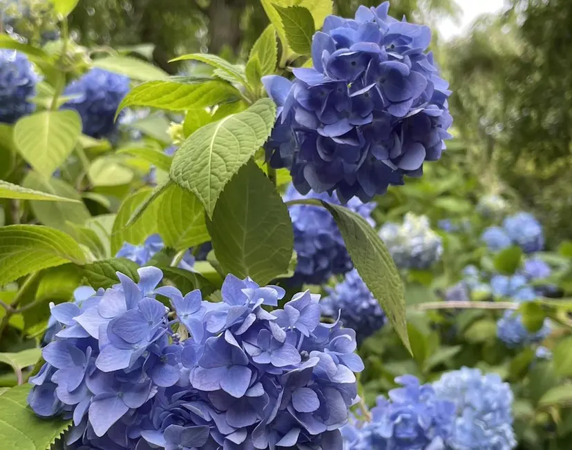 🟥MOPS金沢文庫 永井輝🟥の掲載