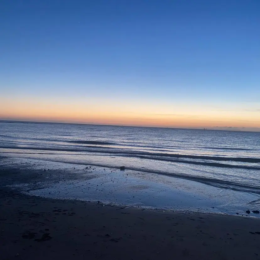 松原 樹里の掲載