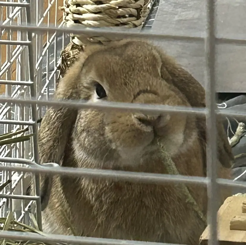 可知 幸輝の掲載