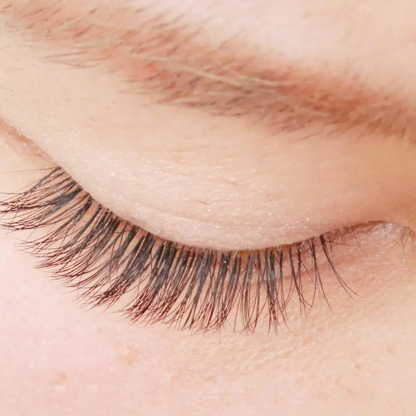 grandjete 野原の掲載