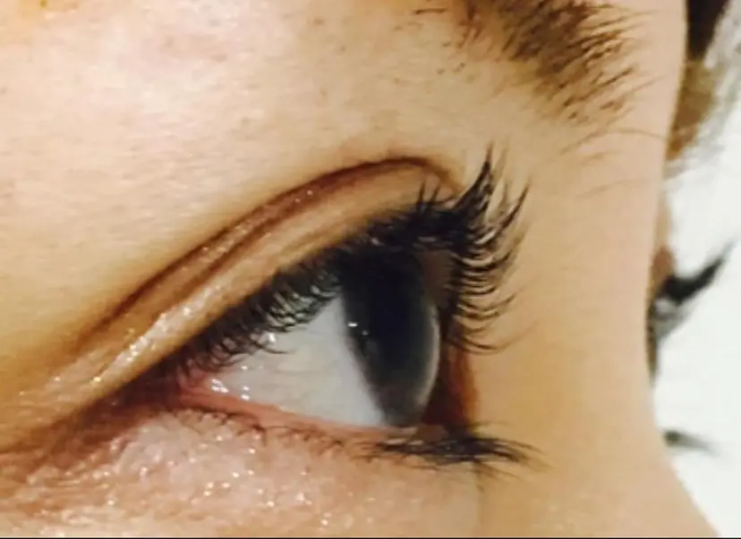 ALICE 元町店の掲載