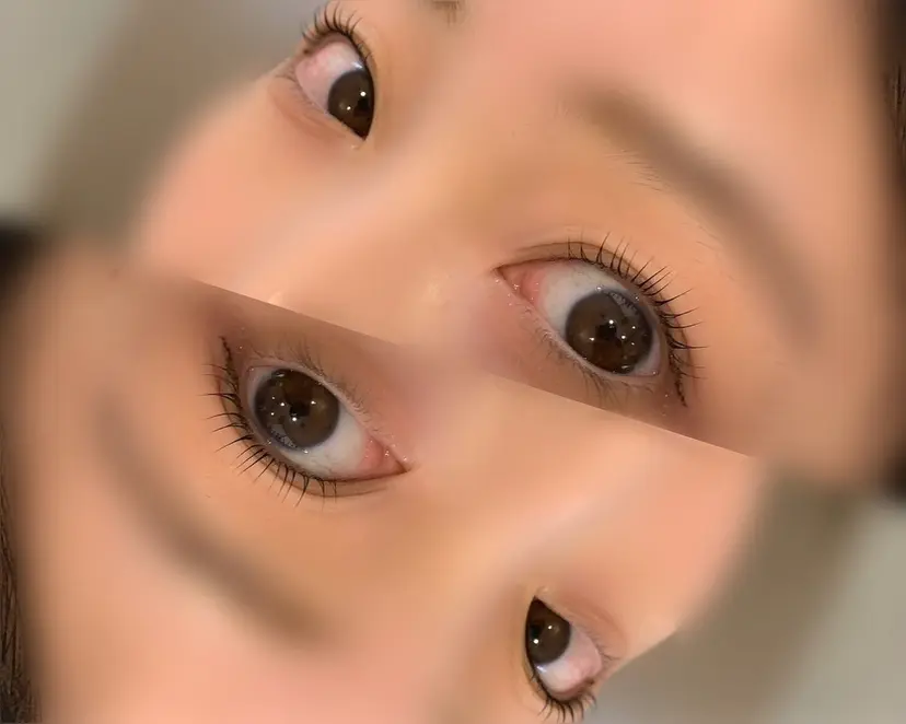 Jessica 森の掲載