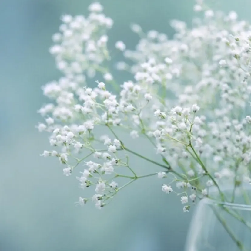 遠藤 カンナの掲載