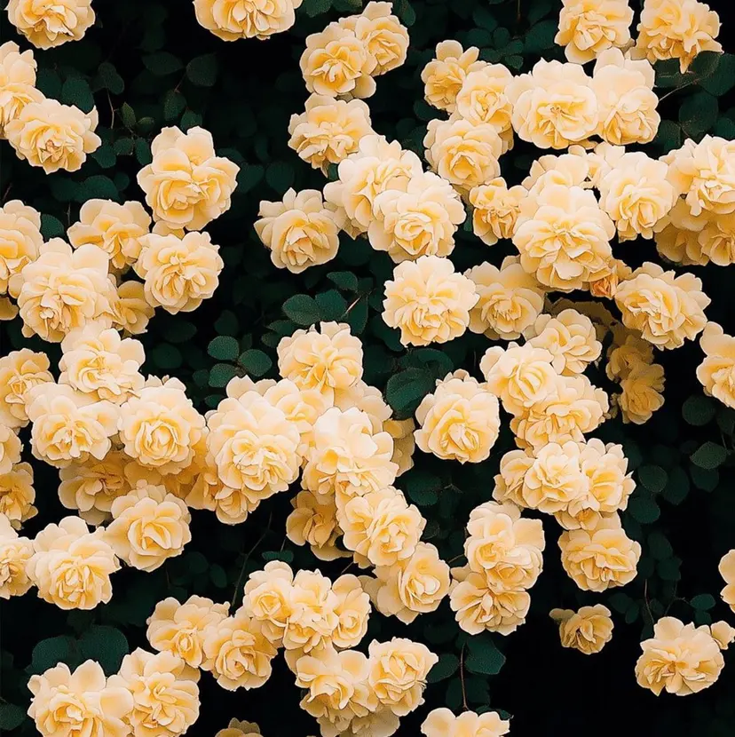 山田 望生の掲載