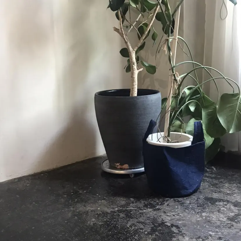 marino/ カラー/顔周りカットの掲載