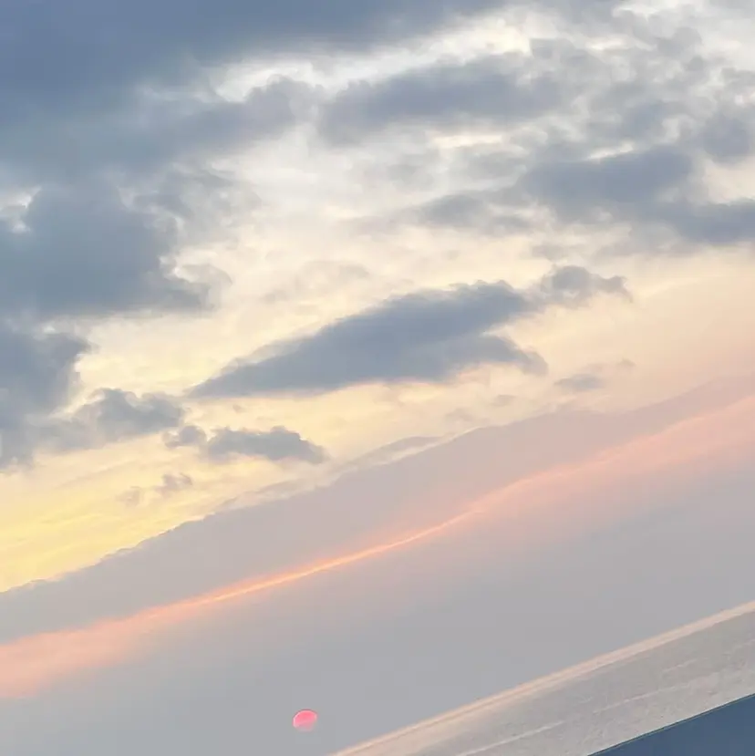 新井那紬🌿 arai nahoの掲載