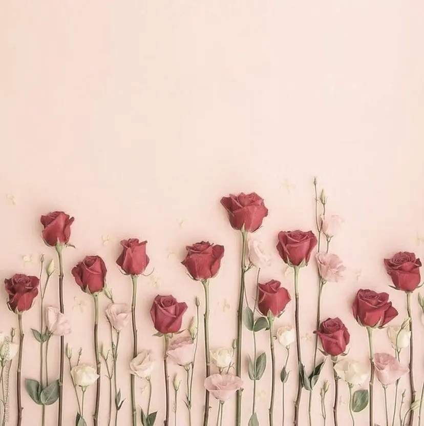 石井 紗弥🎀🫧/ 御茶ノ水神保町店✨️の掲載