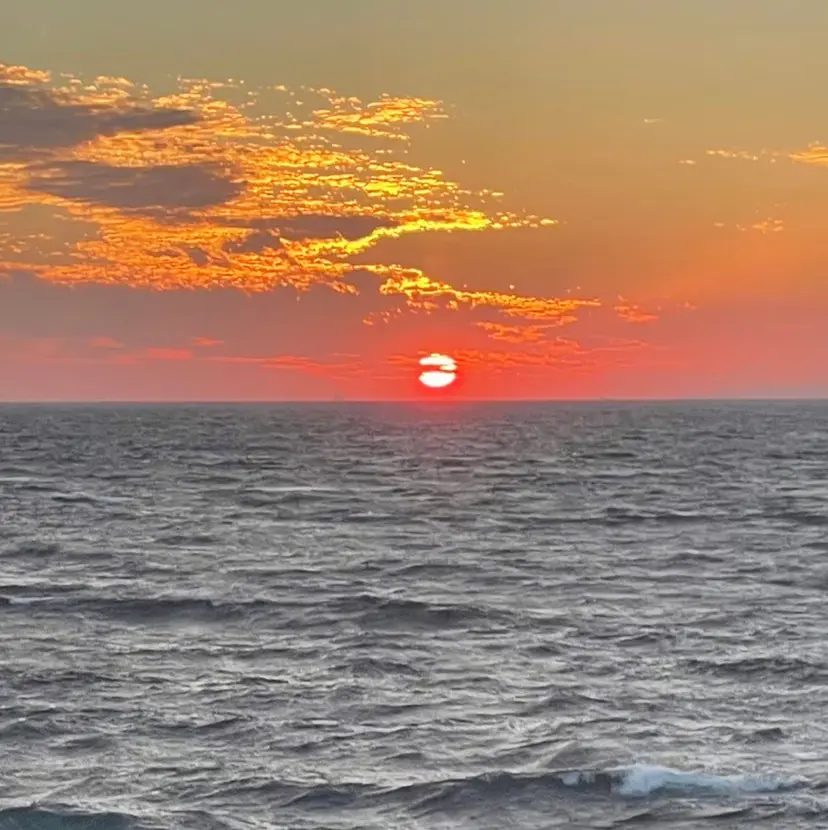 anela 🐶大竹の掲載