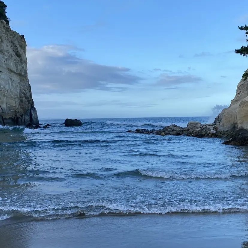 戸塚 大翔の掲載