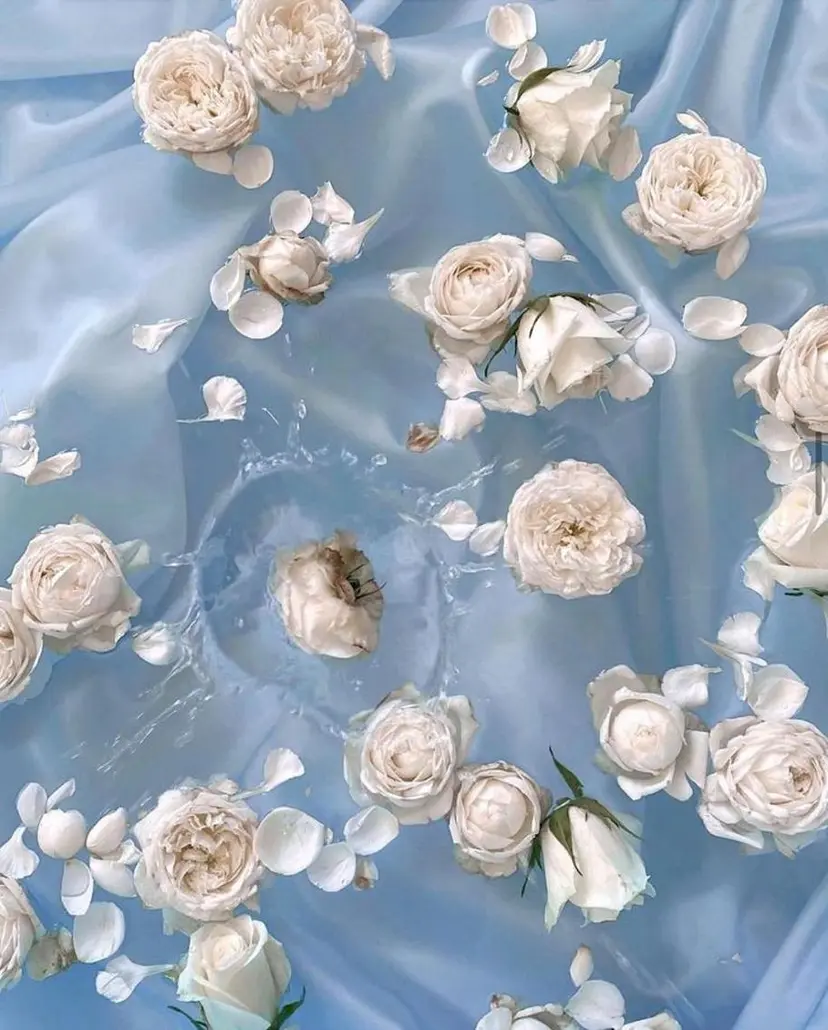 ひな ALBA🐰三鷹の掲載