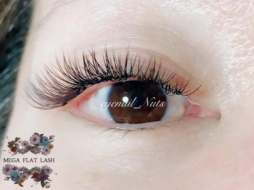 土居 夏美の掲載