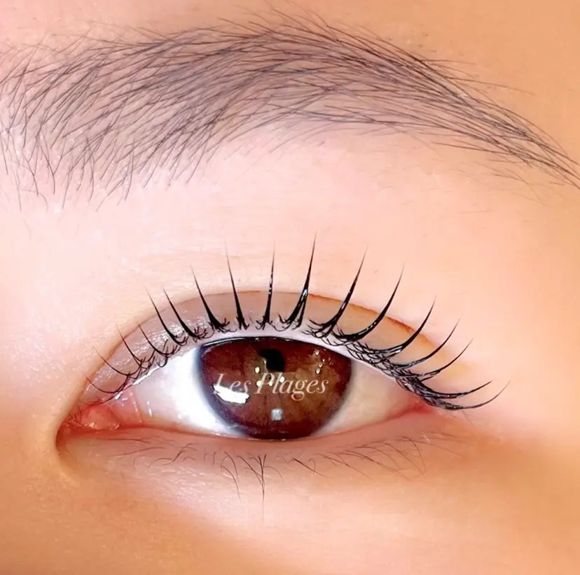 アイラッシュサロン プラージュの掲載