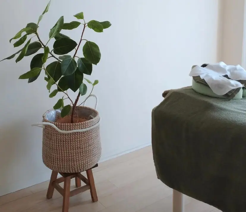 鍼ボディケア＋美顔鍼 IMOTOの掲載