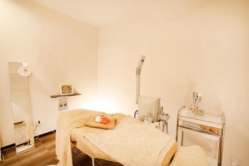 若園 麻理子の掲載