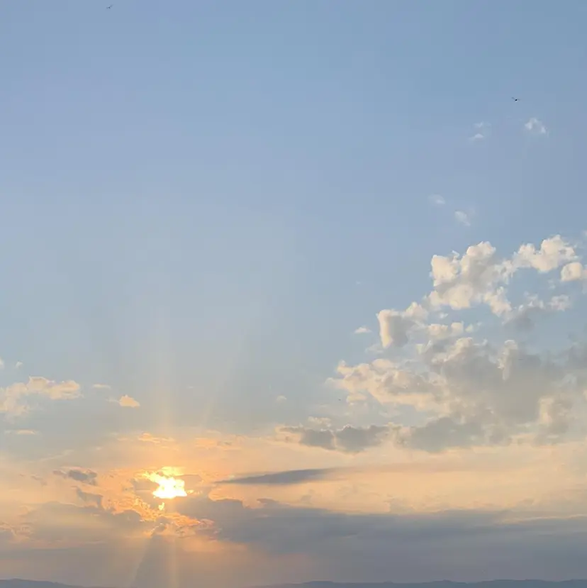 りん /ショート/ボブの掲載