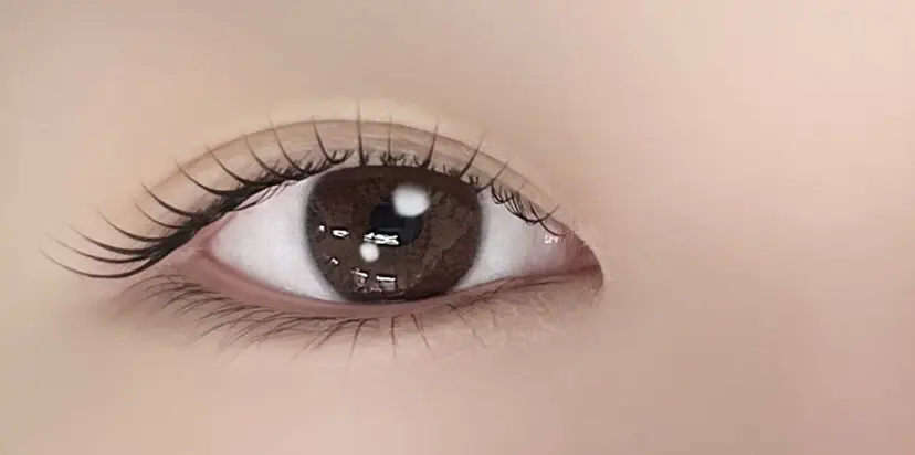 マリーテレジア博多店 ナカシマの掲載