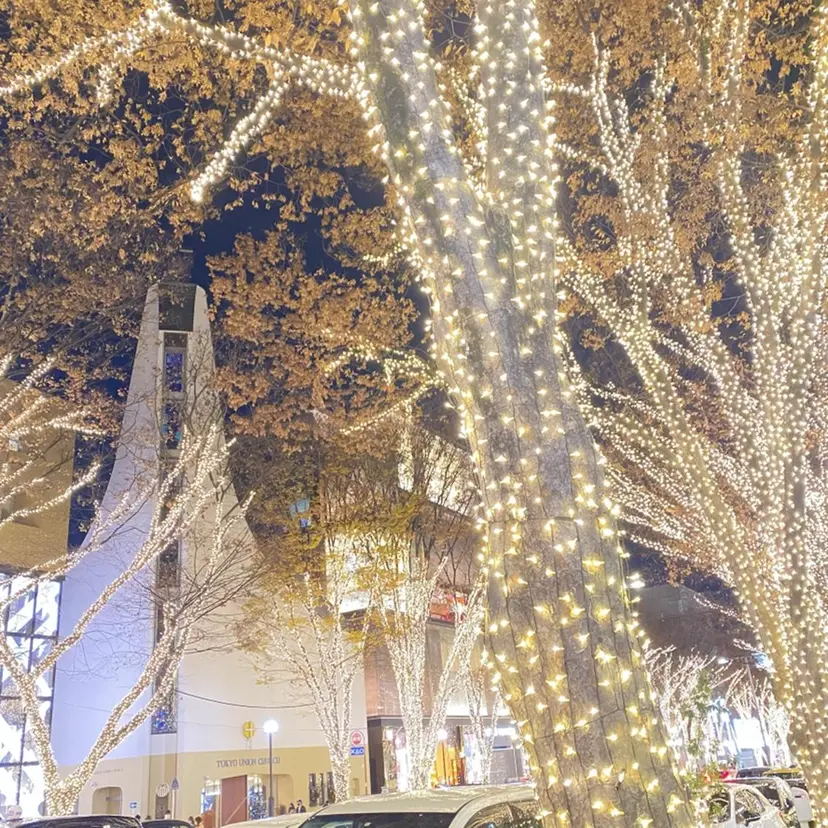 REMIA 細川の掲載