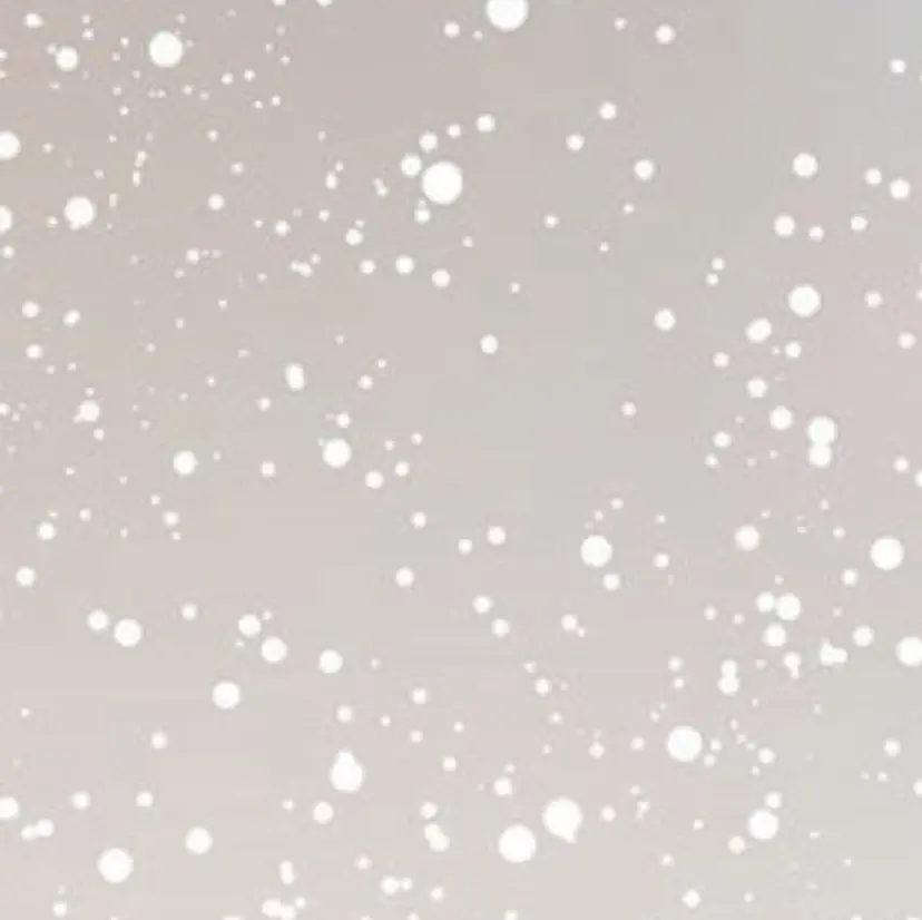 ⭐️ ヘアメイクの掲載