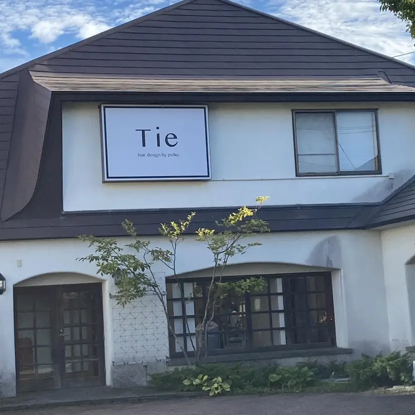 鈴木 香奈の掲載