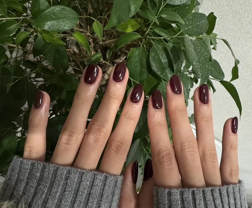 snazzy Anzuの掲載