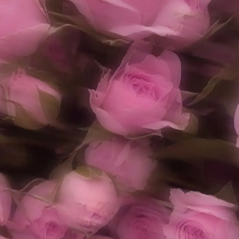 Airi 🐈‍⬛💕の掲載