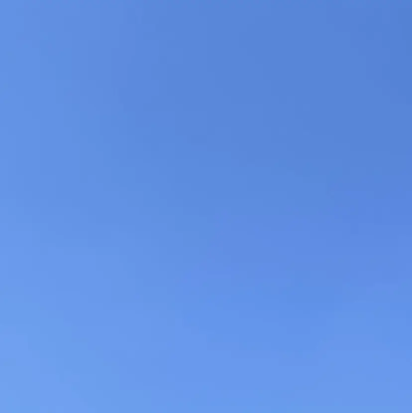 そら 💙🐾の掲載