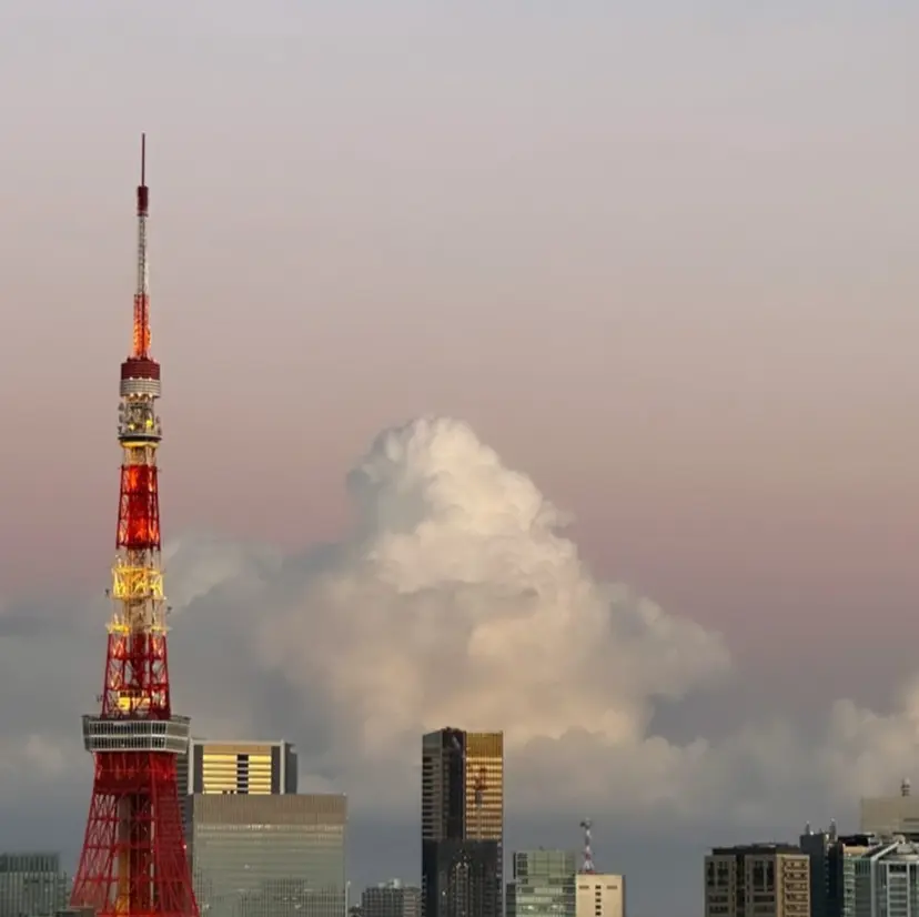 加藤 さやかの掲載