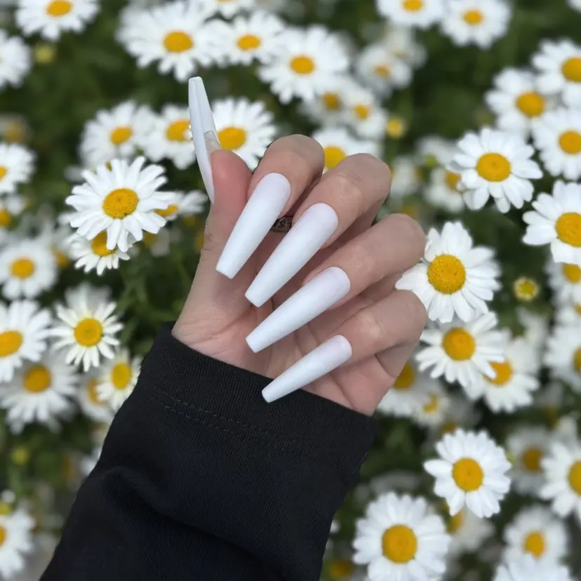 belier_ rikacoの掲載