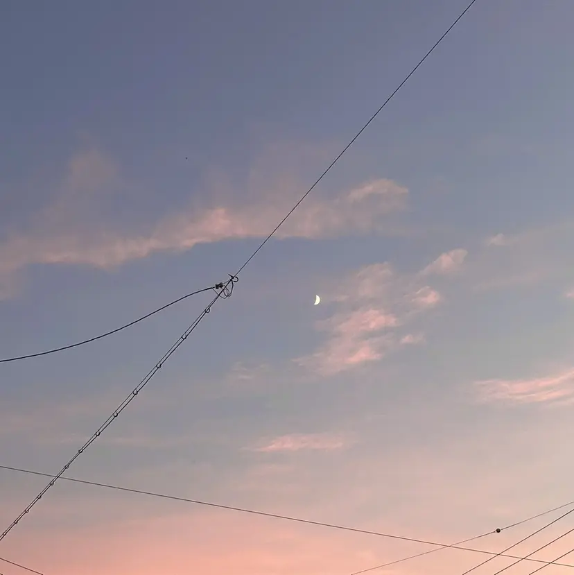 藤原 あかりの掲載