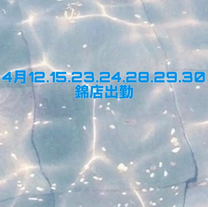 Nene ／Roverの掲載