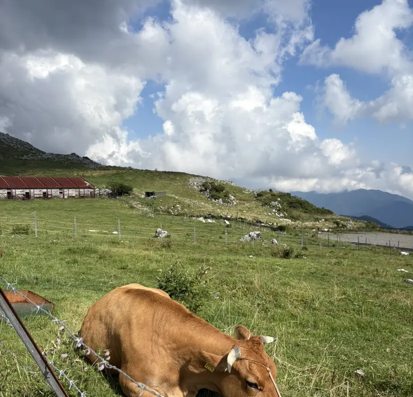 🌼 ちなつ🌼の掲載