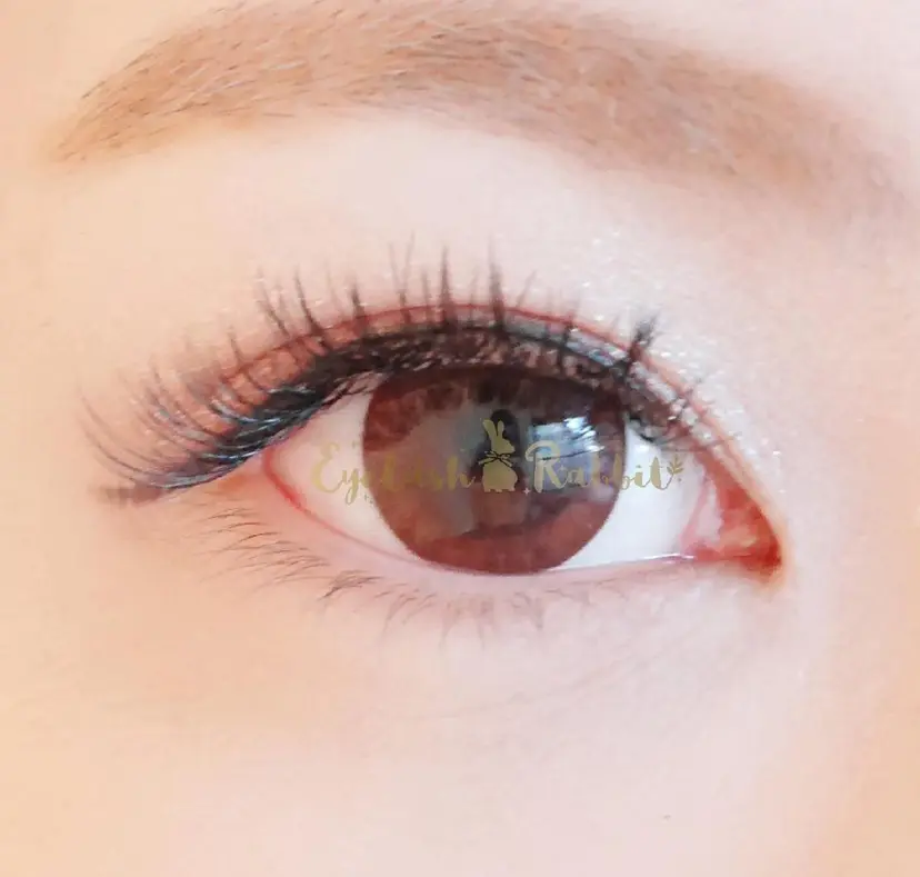 Rabbit MURAlの掲載