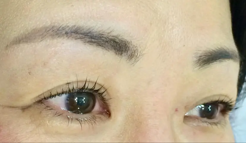 吉田 尚美の掲載