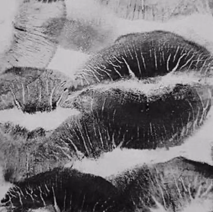 VENICE MIKIの掲載