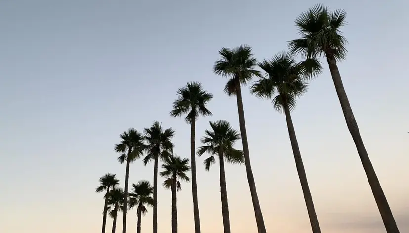 猪俣 朱里の掲載