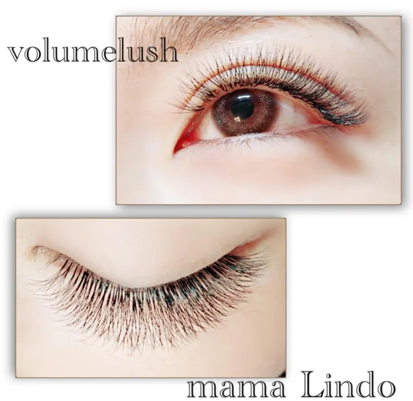 谷口 沙希の掲載