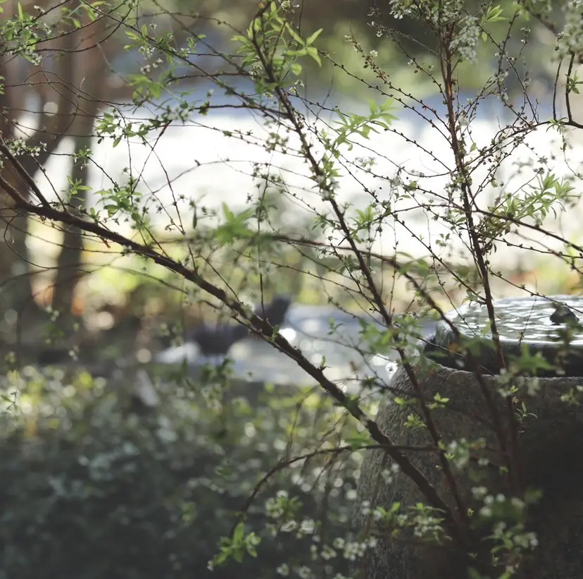 似合わせカラー‎/ アップ🌱‬‪もとかの掲載
